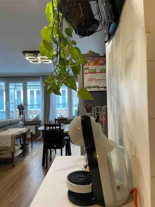 Appartement Superbe Dans Le Centre De - Arivee Autonome Bergen